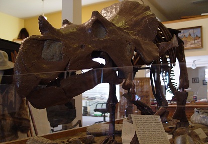 Dinosaur Museum History Harlo Meet Ava